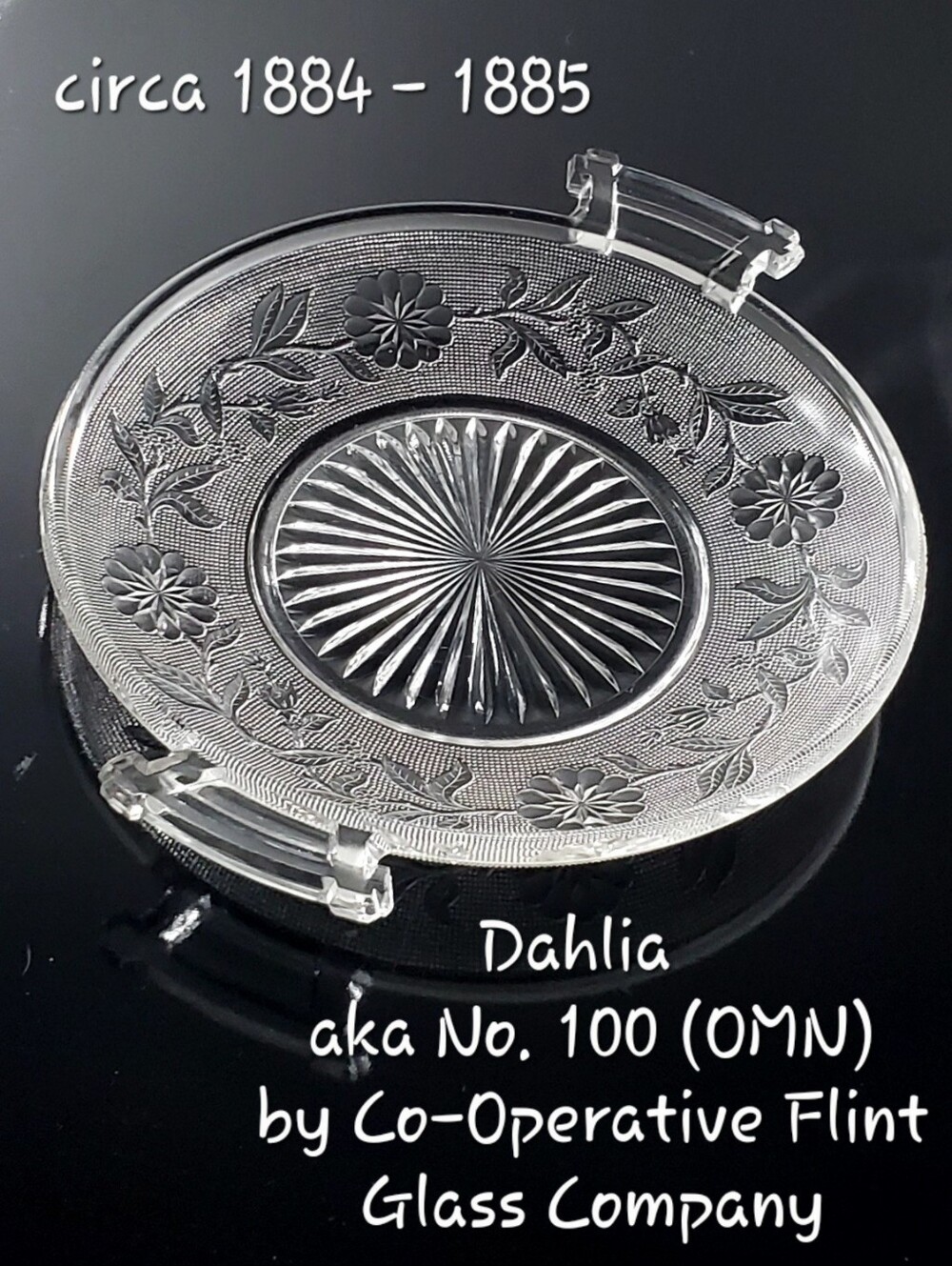 1885 Dahlia aka No.100 Co-Operative Flint Glass Co. 10" Handled Glass Plate EAPG